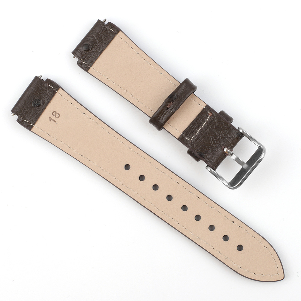 watch band