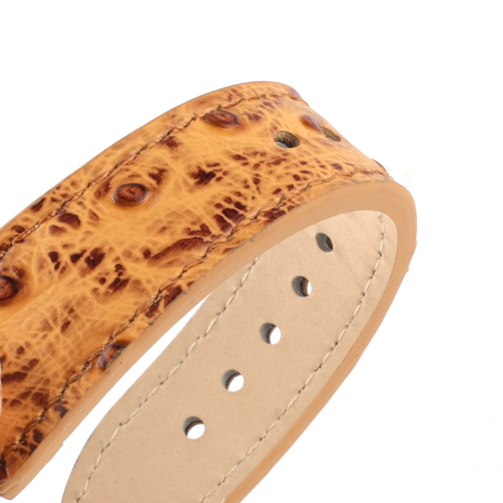 leather strap