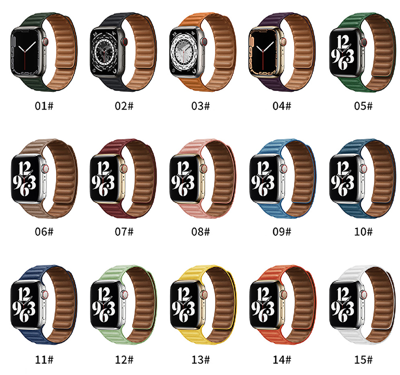 Magnetic watch band
