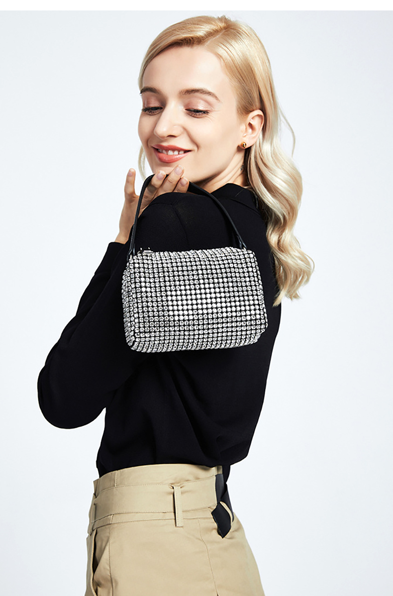 ladies handbag