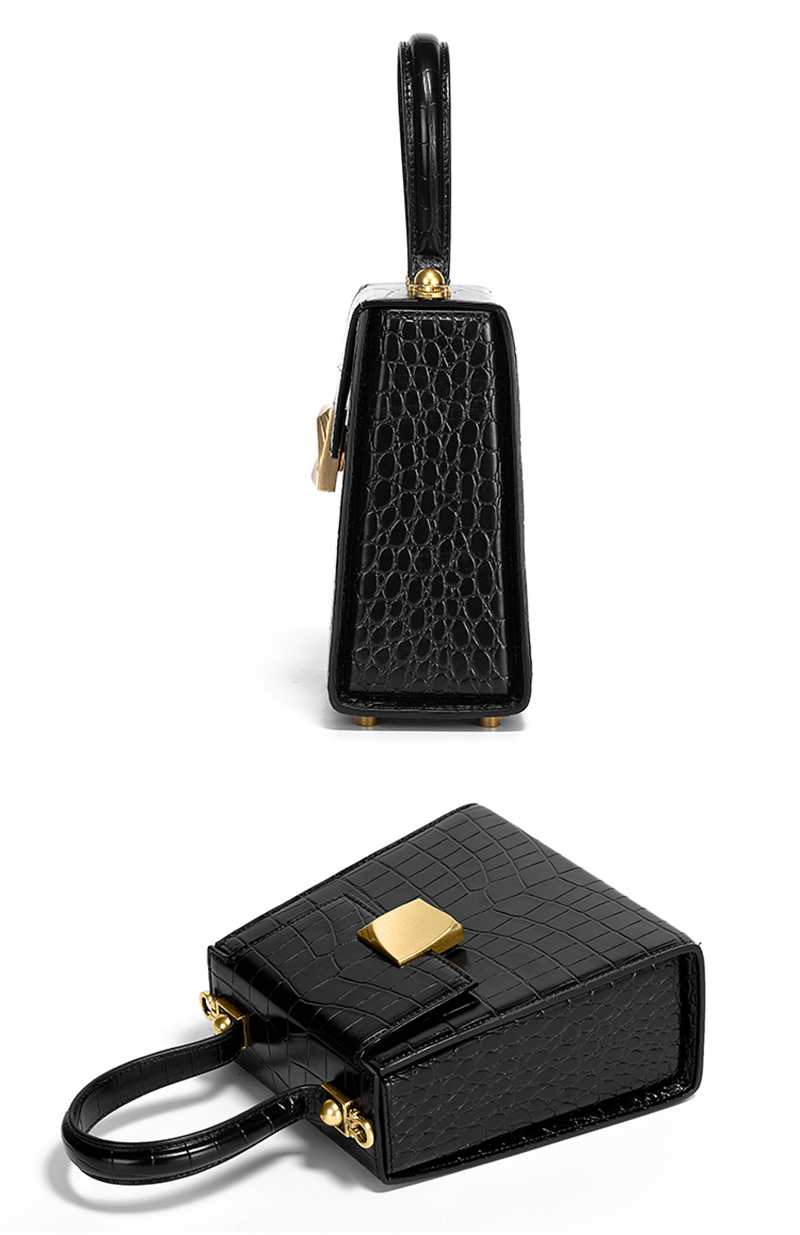 ladies handbag